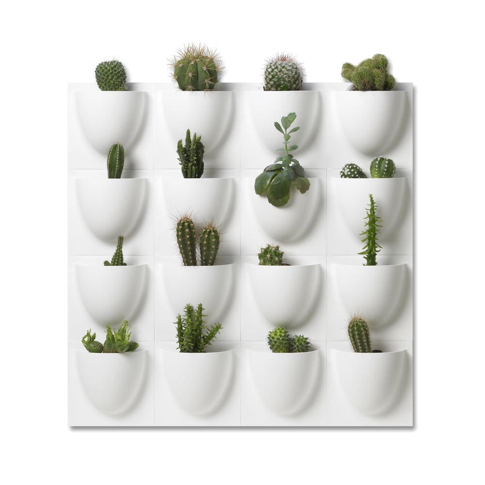 16 wall pots for small plants